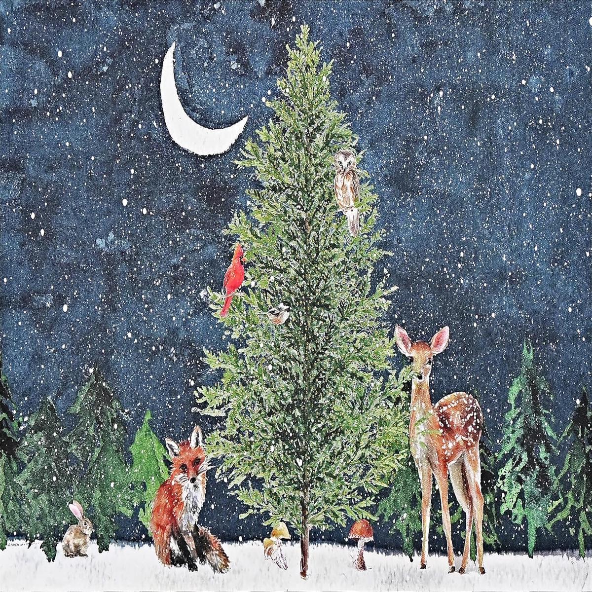 Xmas Cards Moonlit Forest Frie